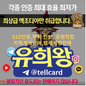 DB실드 보증업체